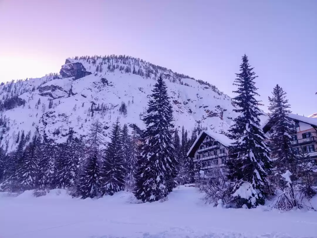 Photo of white wonderland of 