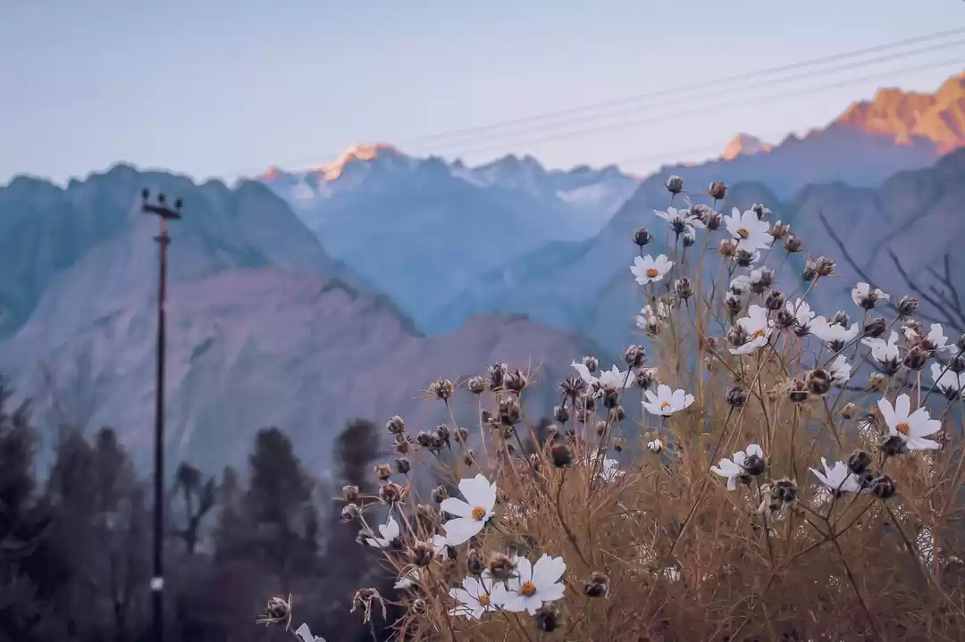 Photo of Rohtang Pass May Ope