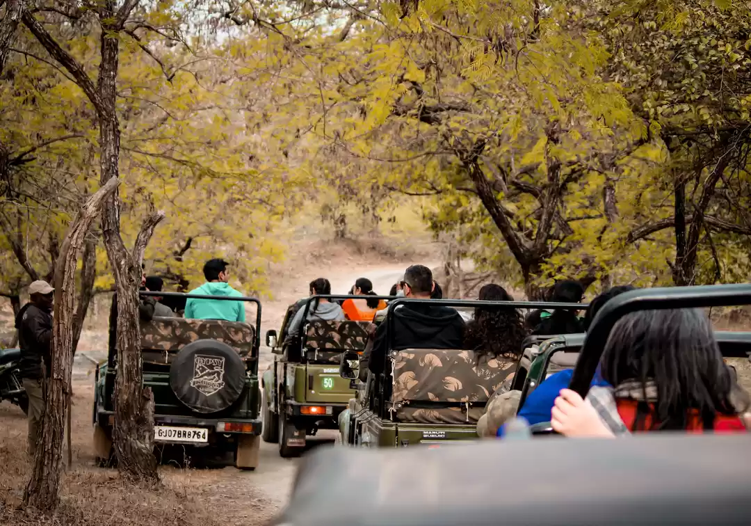 Photo of Now Meet Animals Aft