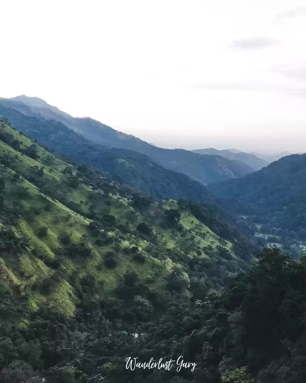 Photo of Views of Adam's peak
