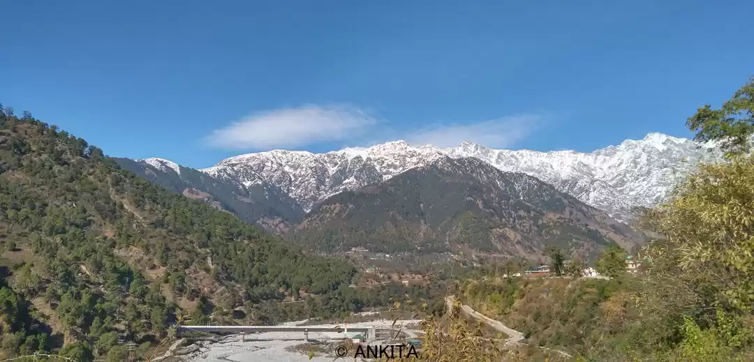 Photo of Lesser traveled Tea 