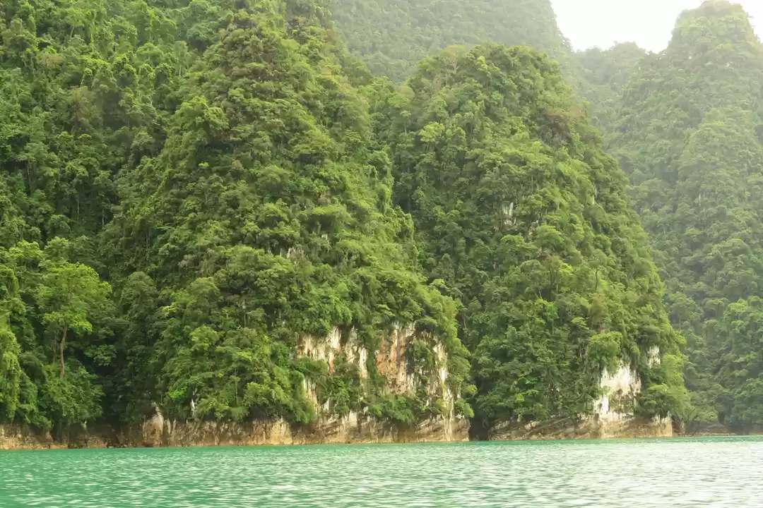 Photo of Khao Sok National Pa
