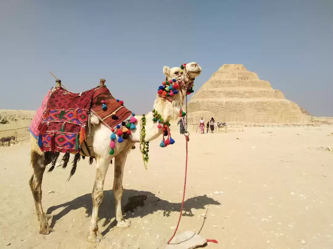Photo of 48 hours in Cairo, E