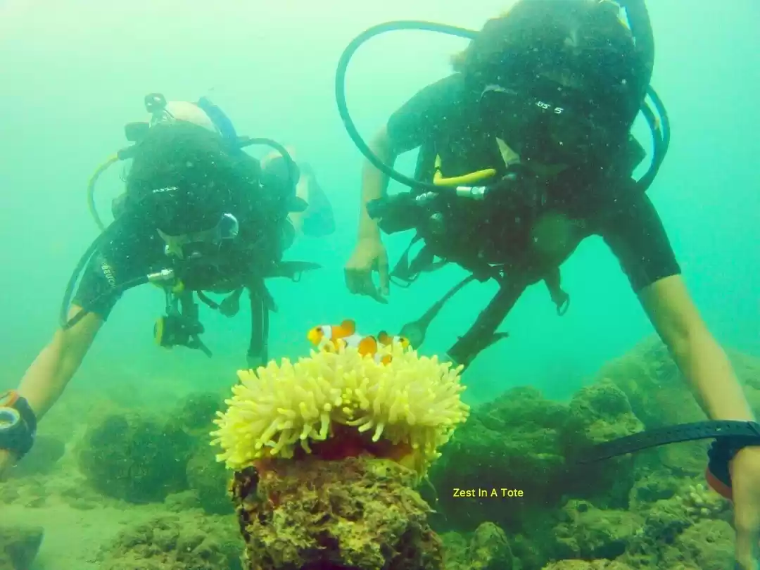 Photo of What diving in the A