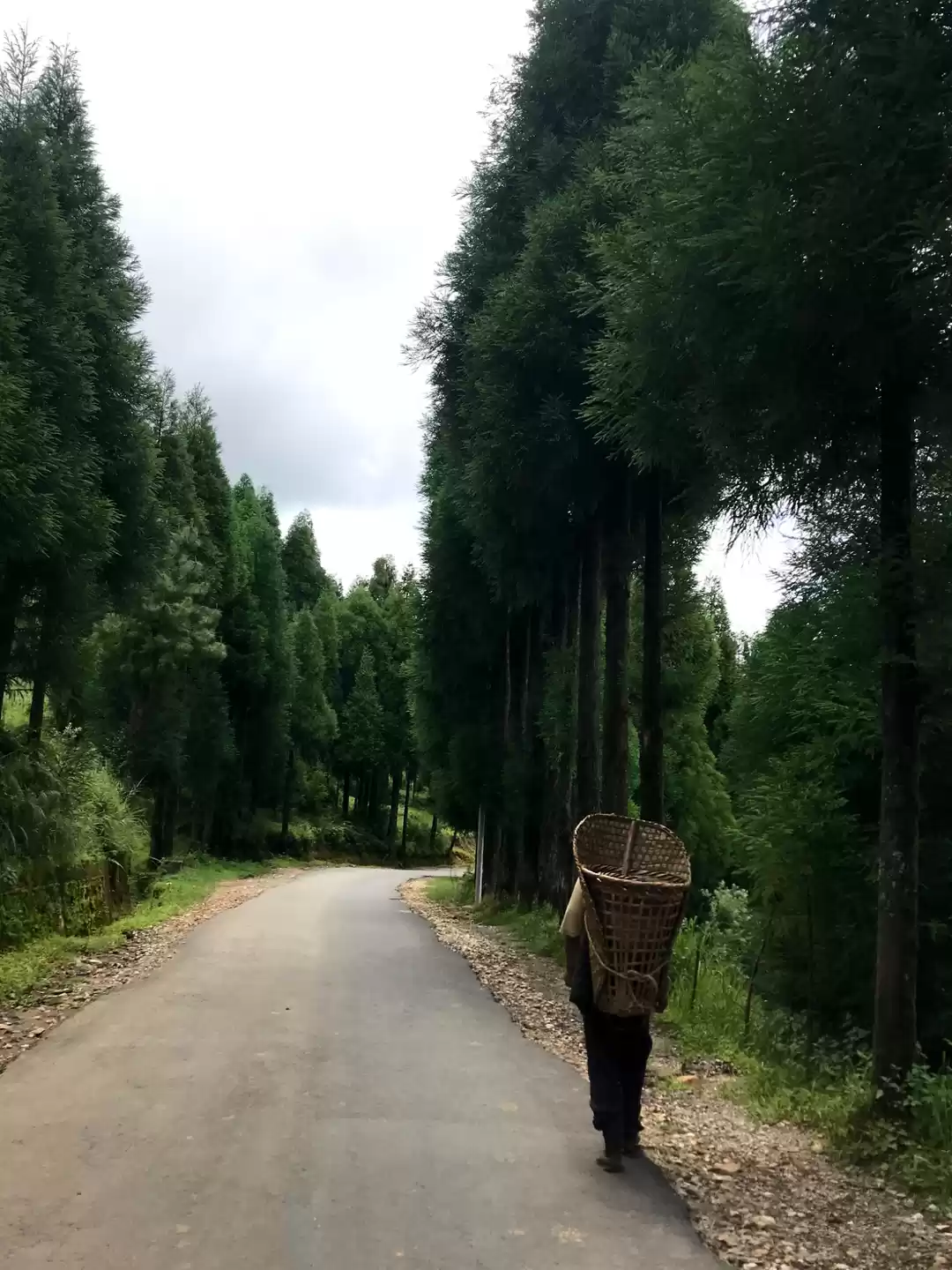 Photo of In the Abode of Clou