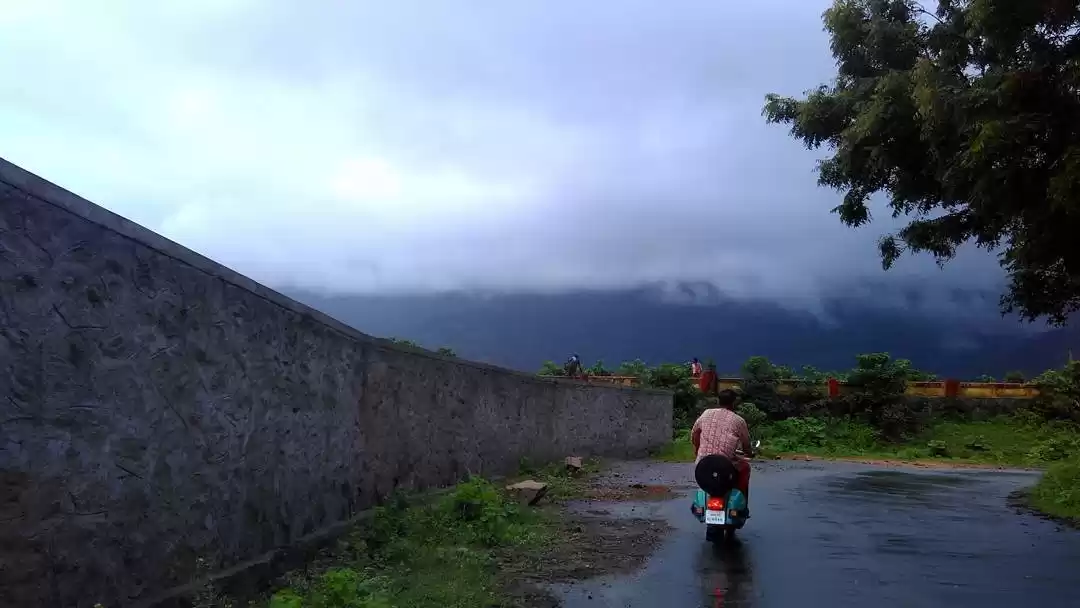 Photo of The Nature Therapy
