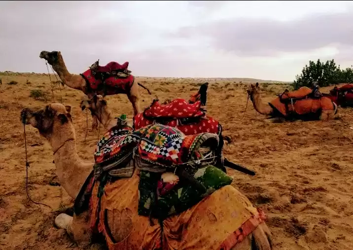 Photo of From The Blue City t