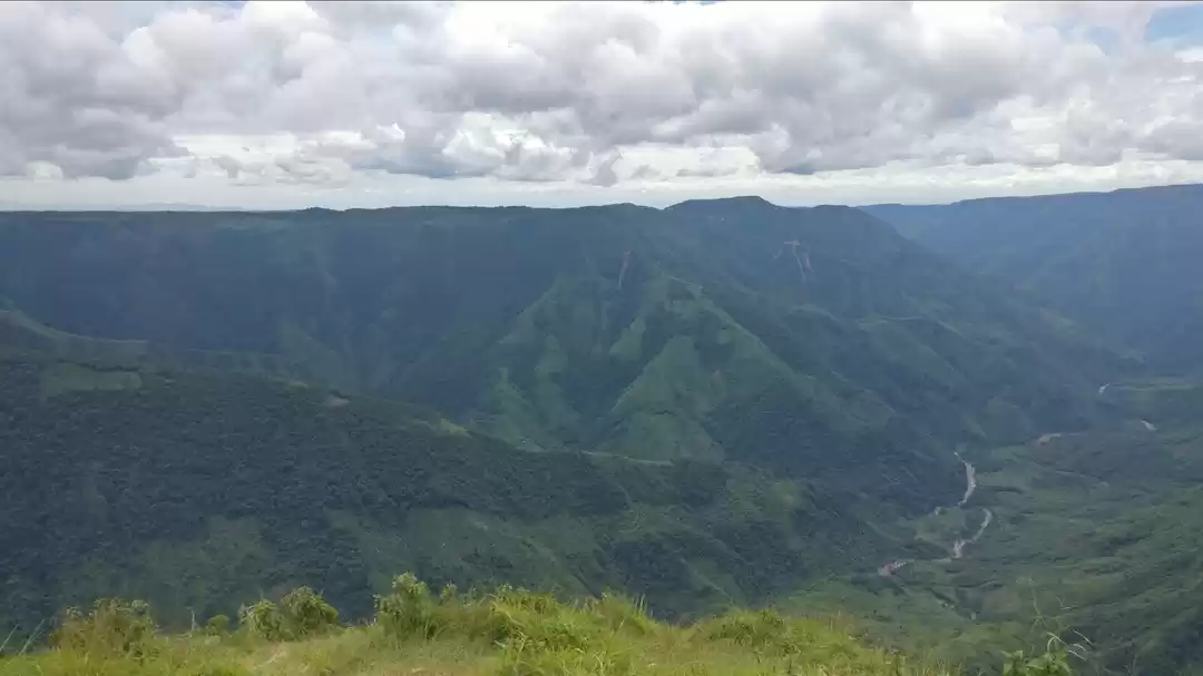 Photo of A Bird’s Eye View of