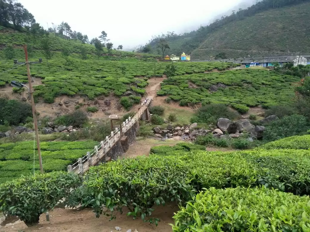 Photo of Hill station heaven 