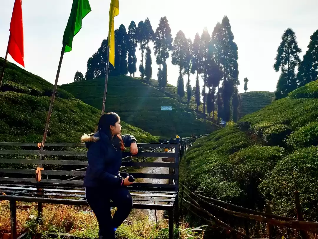 Photo of Mirik: a photo blog