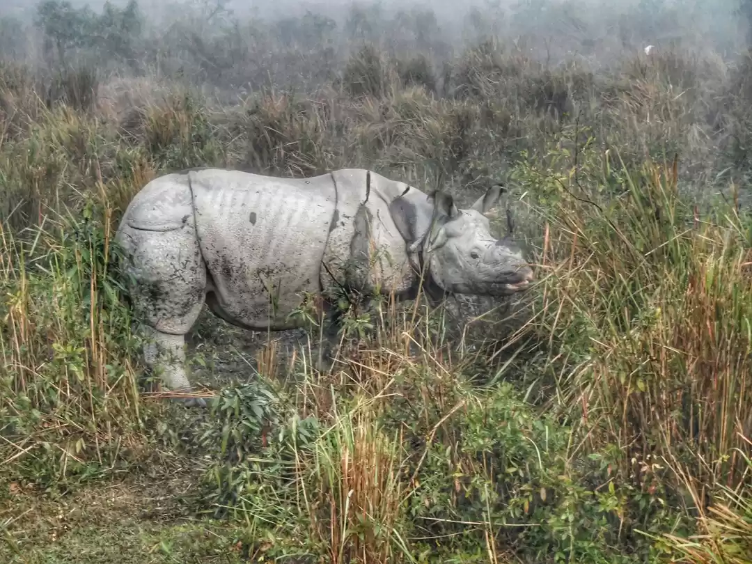 Photo of A night in the wilde