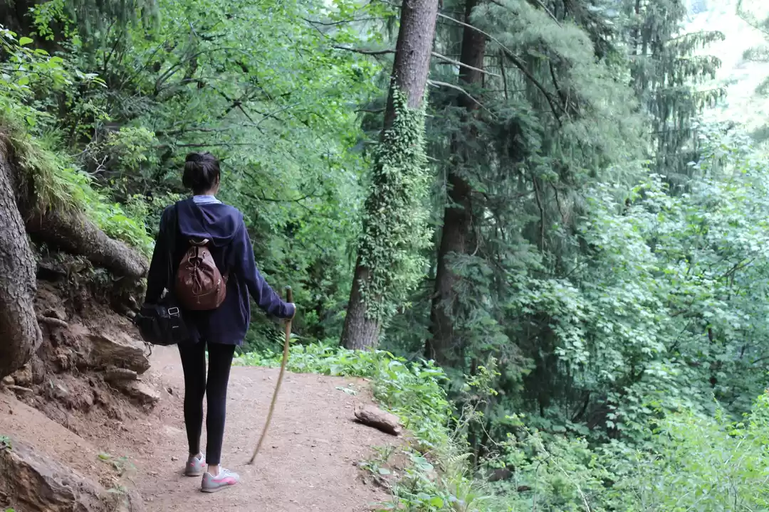 Photo of A Road Trip To Kasol