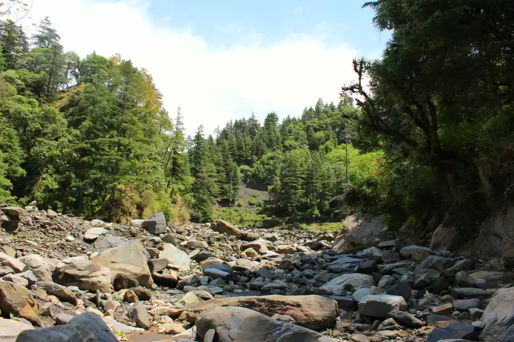 Photo of The mysterious Paras