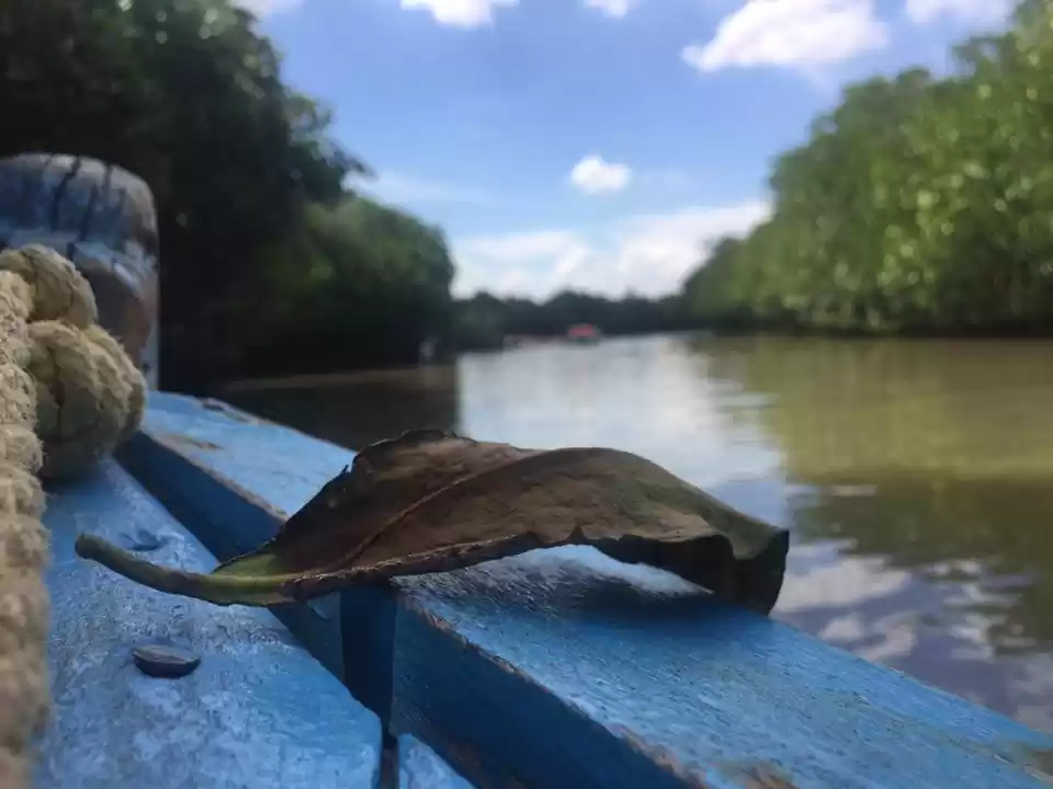 Photo of Still got No Place t