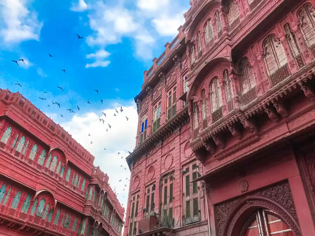 Photo of You shouldn't exclud