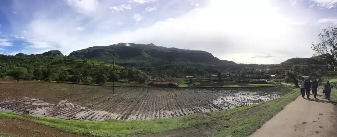 Photo of Kalsubai Peak - The 