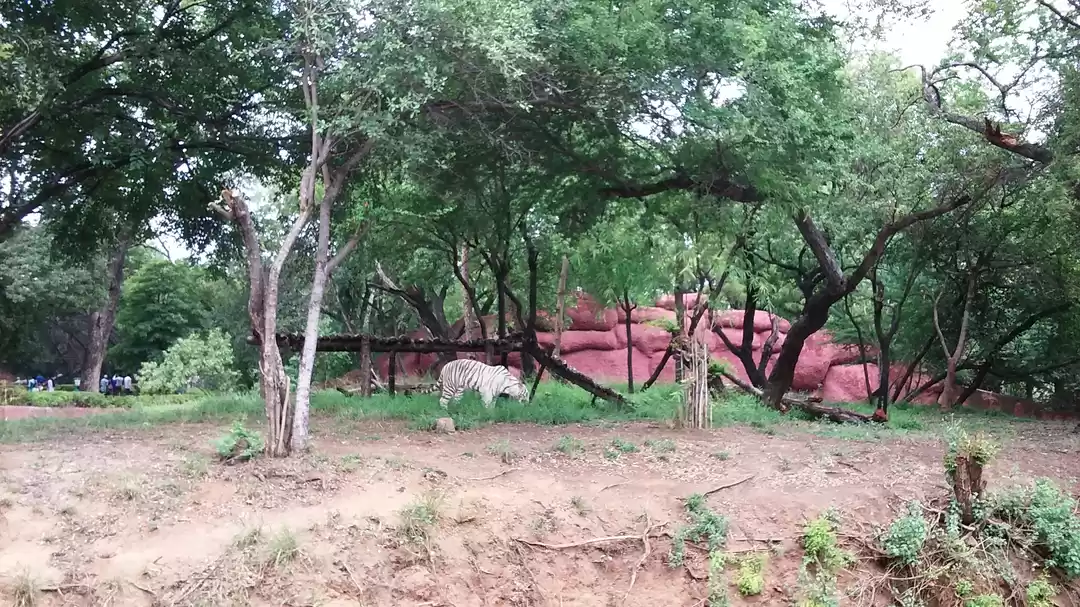 Photo of 12 hours trip in hyd