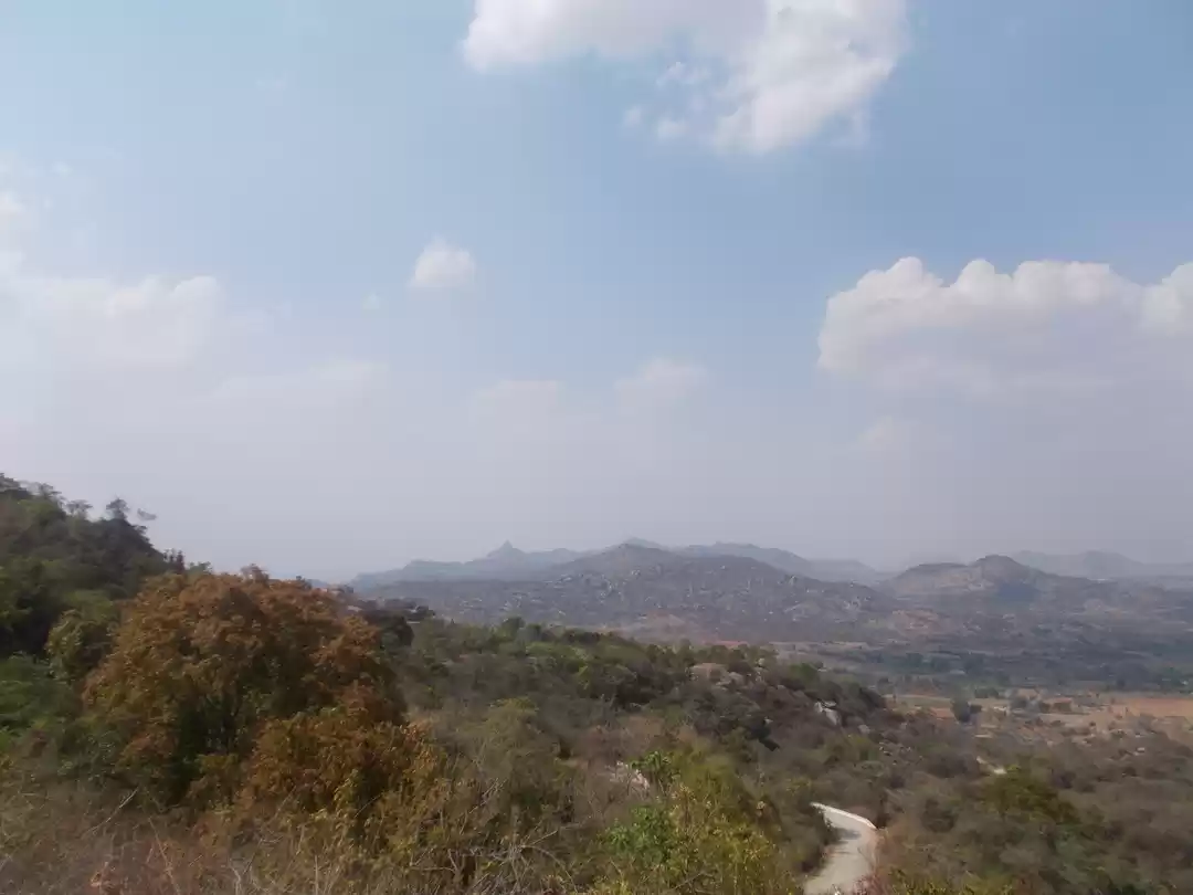 Photo of Bangalore - Road Tri