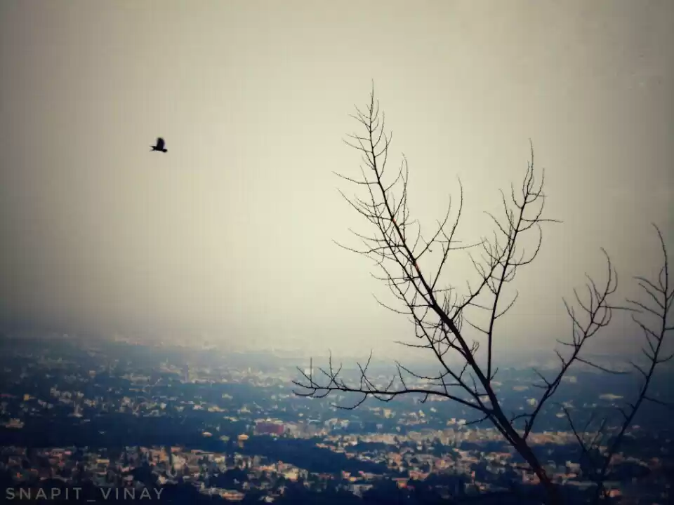 Photo of Solo trip to Mysore