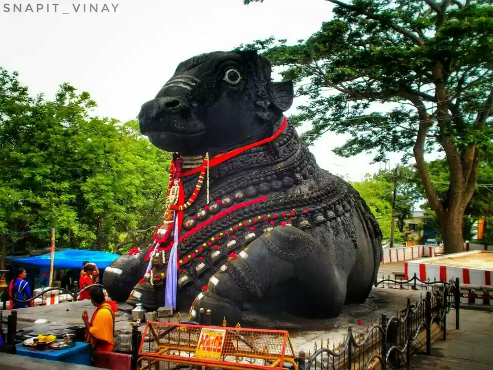 Photo of Solo trip to Mysore