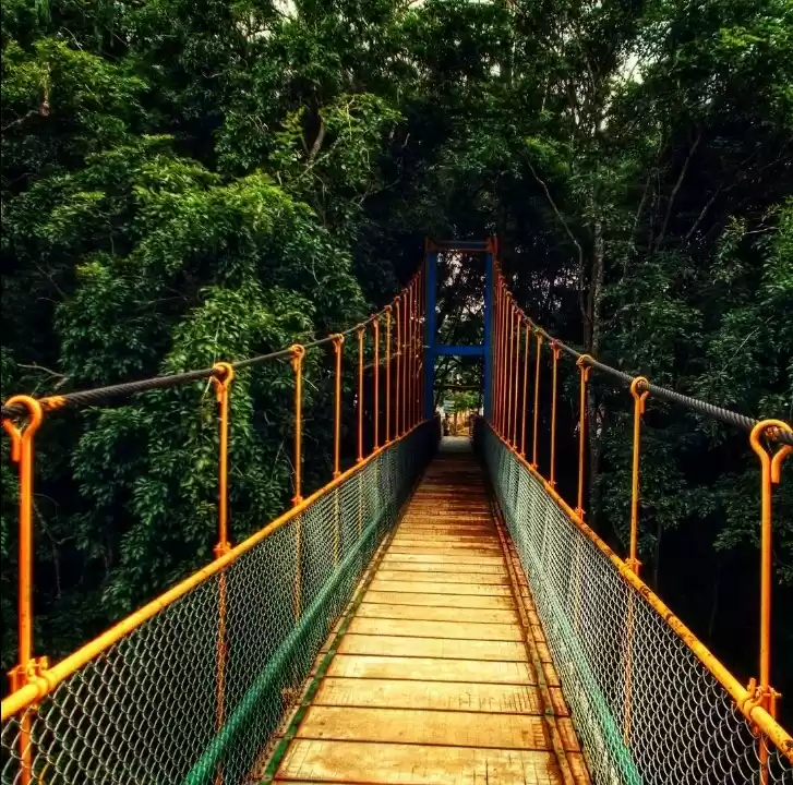 Photo of Solo trip to Mysore 