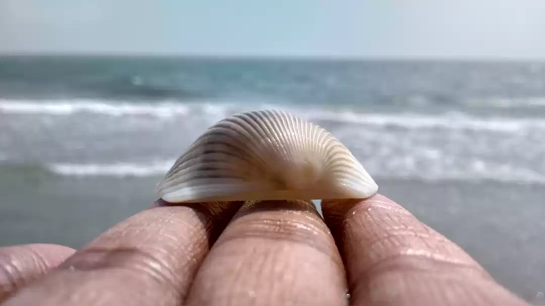 Photo of Rameswaram and Dhanu