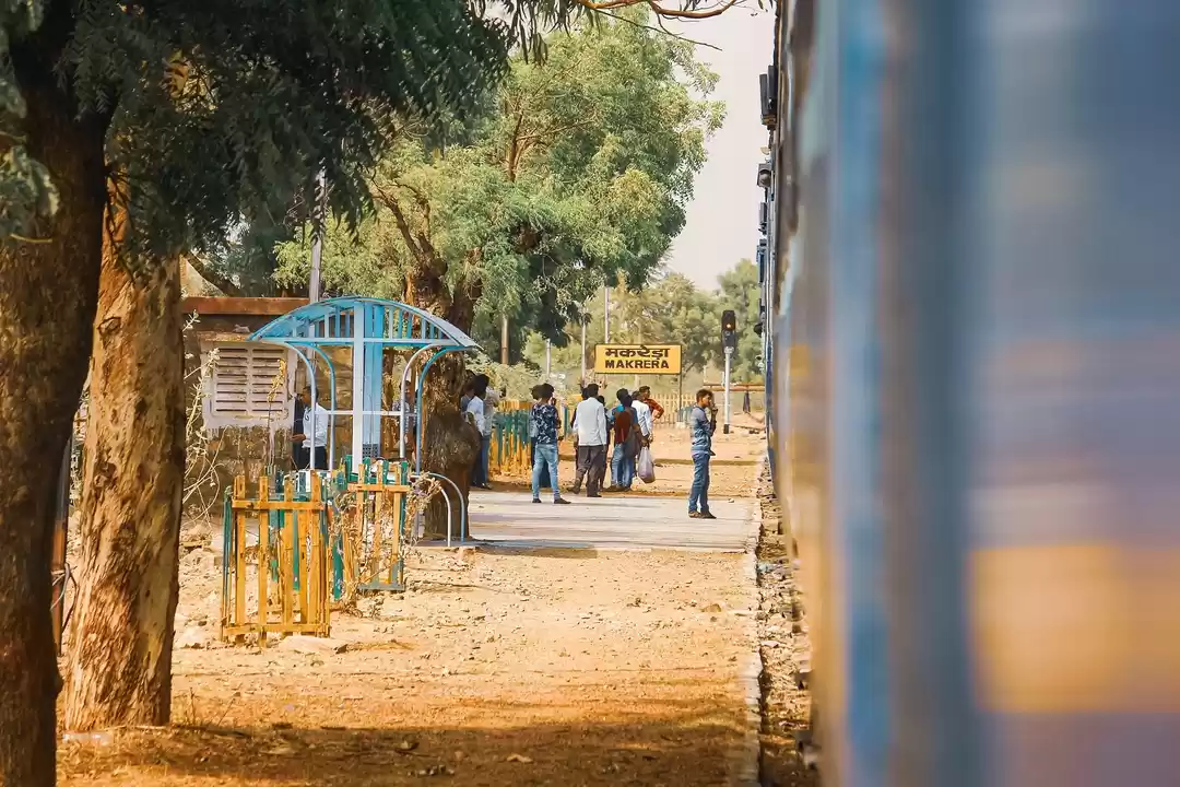 Photo of Rajasthan Trip | Sol