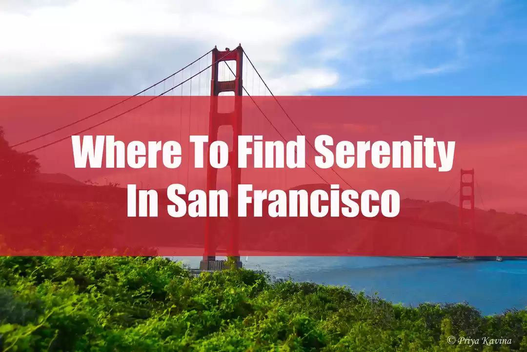 Photo of Where to Find Sereni