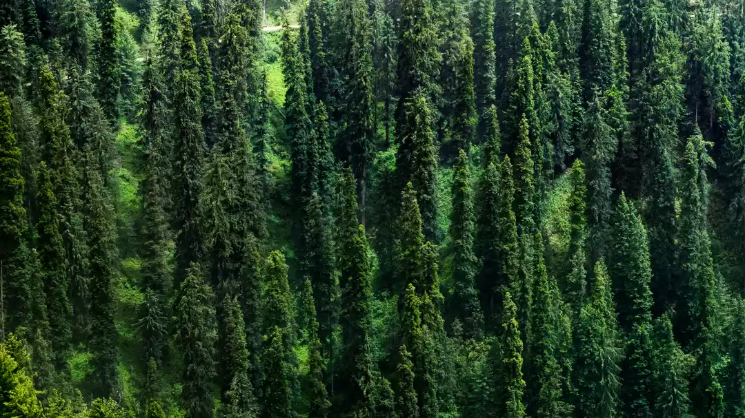 Photo of Day 1: Chandigarh - 