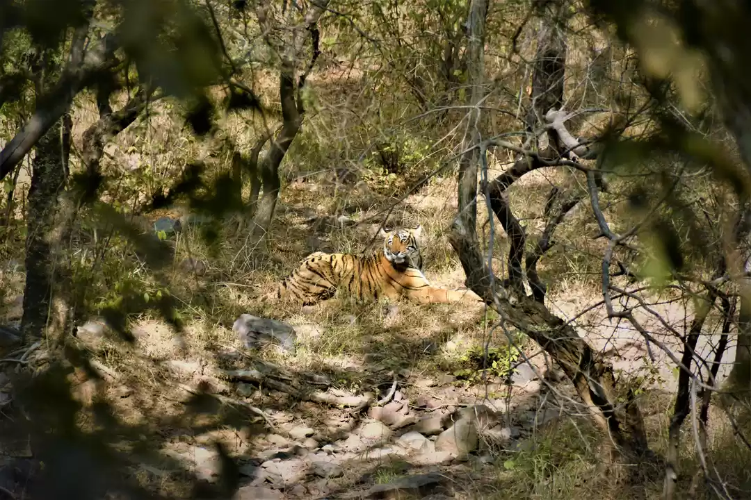 Photo of The Ultimate Guide t