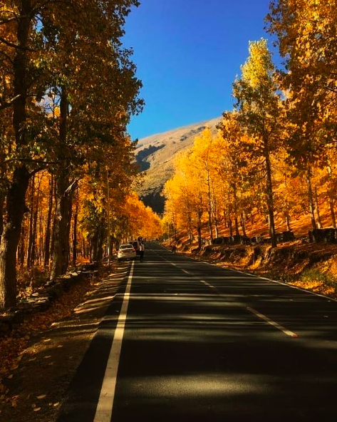 Photo of 7-Days Bike Ride-200