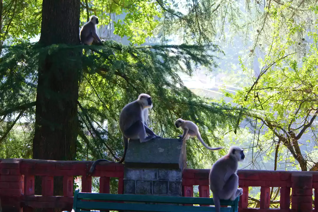 Photo of Things to do in Kasa