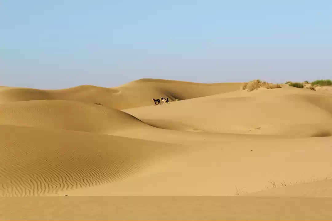 Photo of Get Deserted in Jais