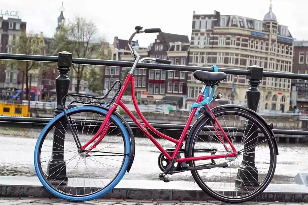 Photo of Amsterdam turns to b