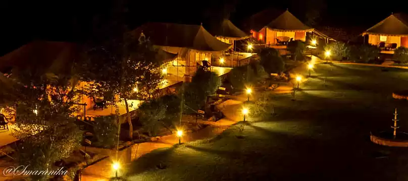 Photo of A camel safari in th