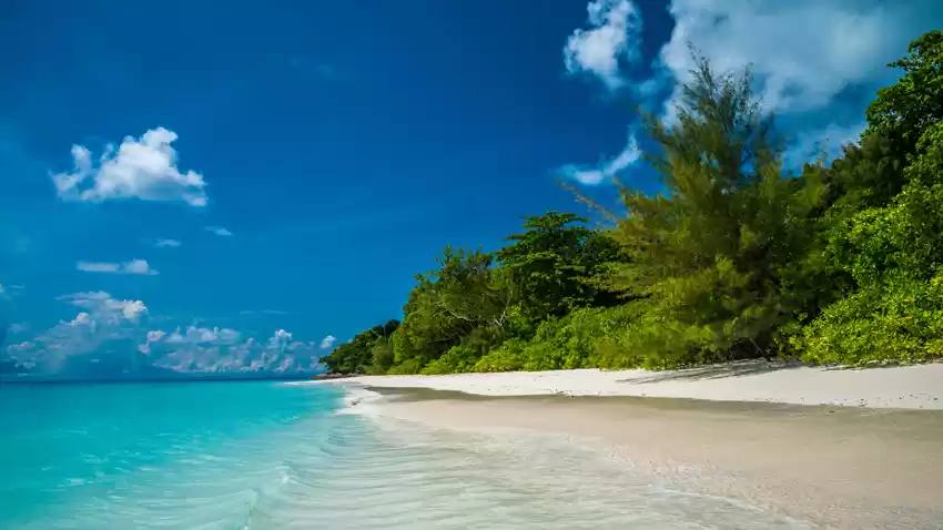 Photo of SAD NEWS : Three Mor