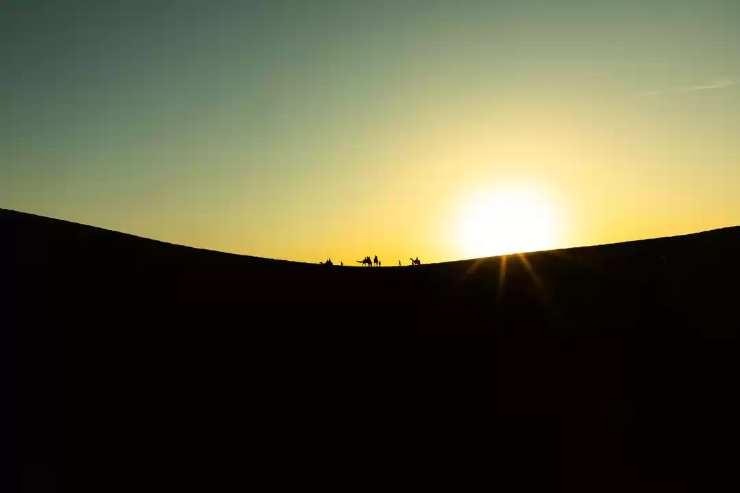 Photo of The Desert Safari of