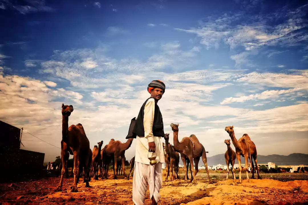 Photo of Pushkar - A Culture