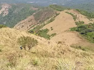 Photo of Shola forests and gr