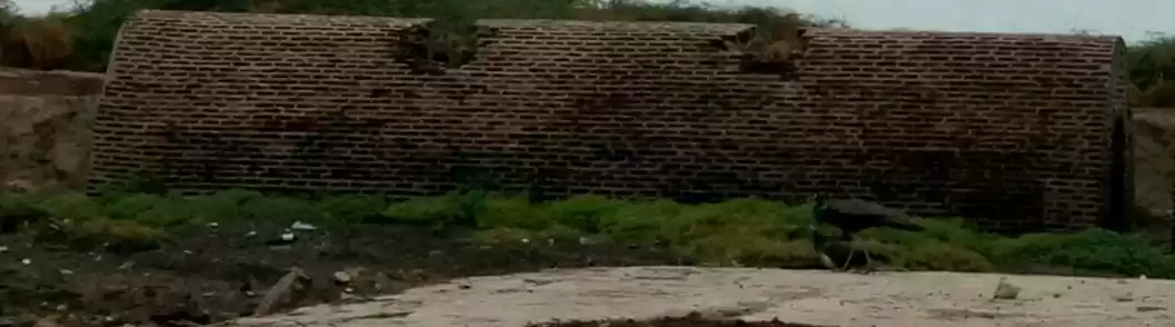 Photo of The Ghost Town and T