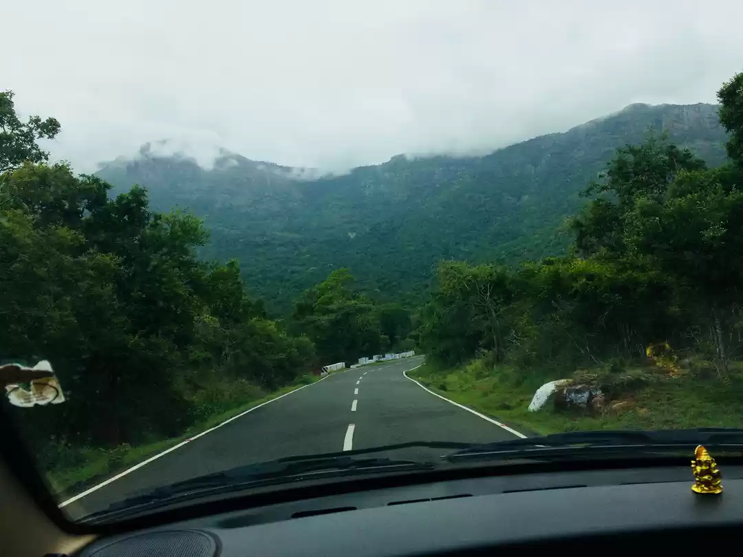 Photo of Drive in the Nilgiri