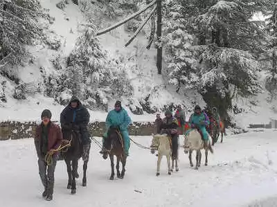 Photo of Shimla-Manali में फि