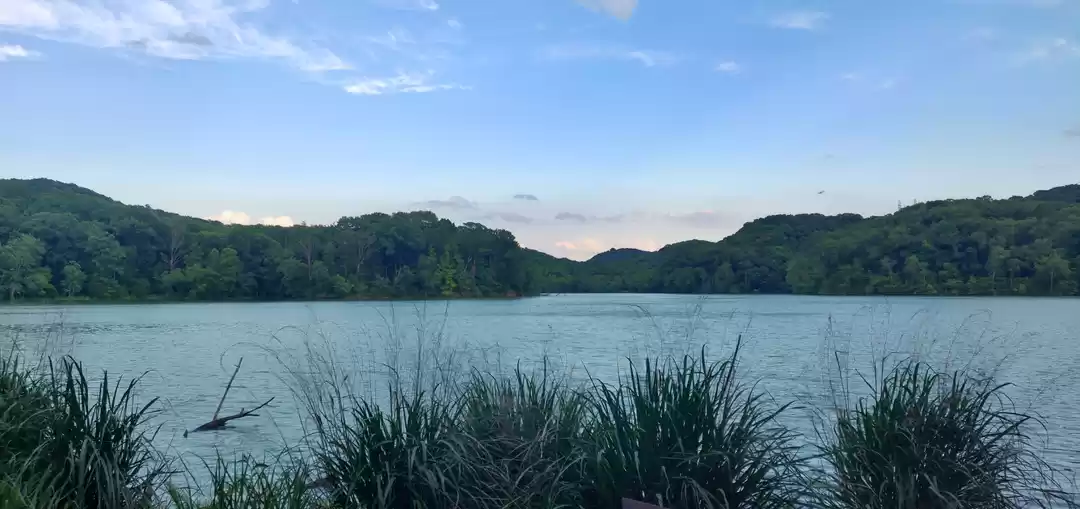 Photo of Radnor lake