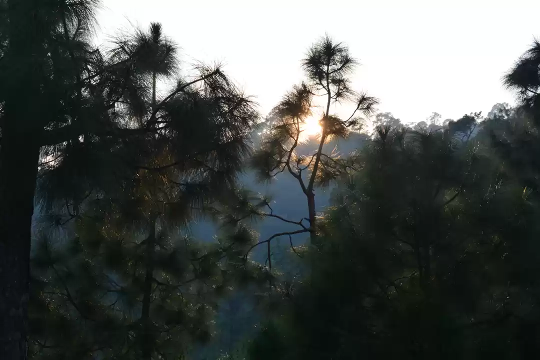 Photo of Kumaon Switzerland- 