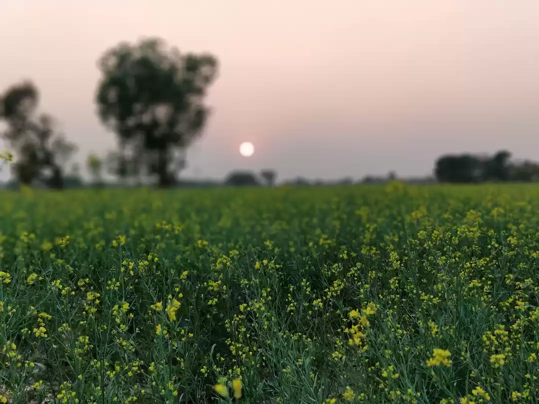 Photo of #farmlife