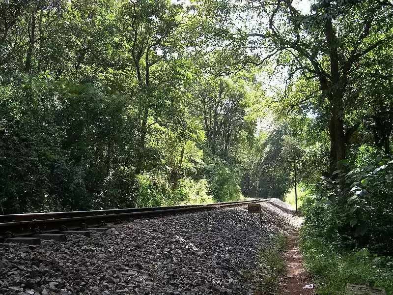 Photo of Trek to Dudhsagar Fa