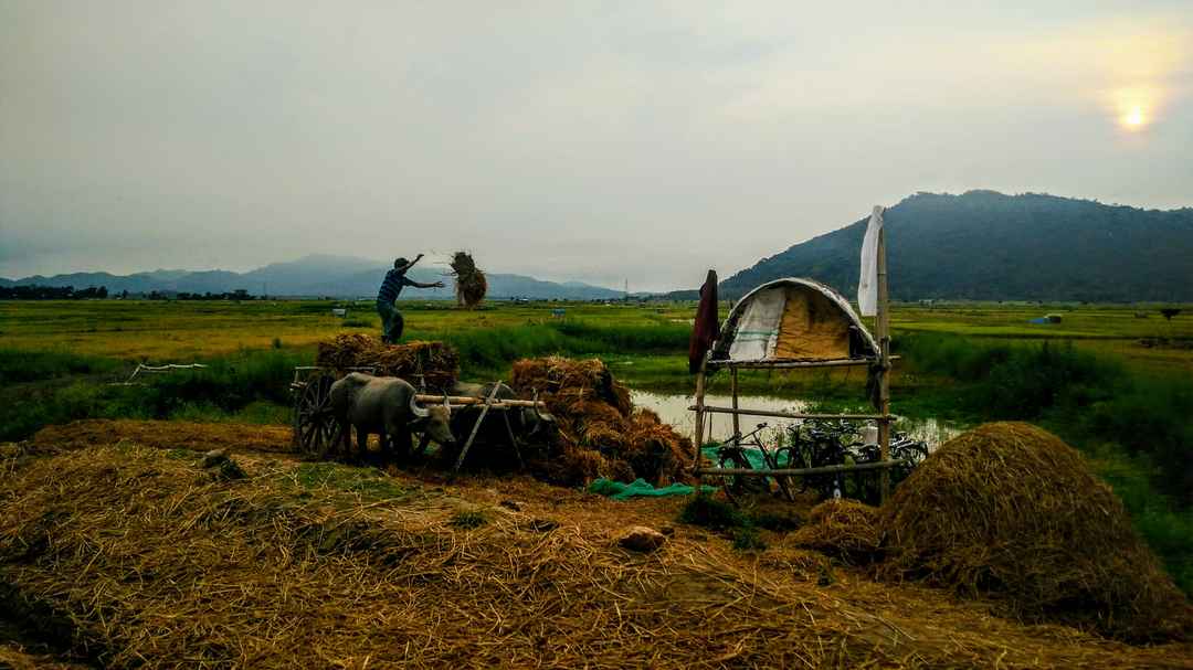 Photo of Guwahati in Pictures - a Photo Blog!