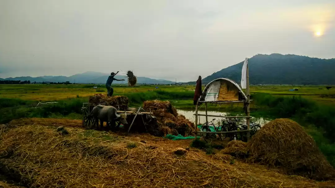 Photo of Guwahati in Pictures