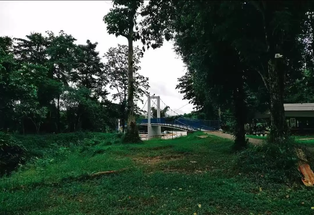 Photo of  Beautiful walkway w