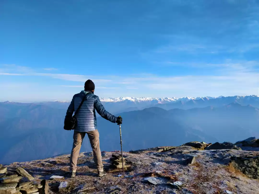 Photo of Into the woods of th